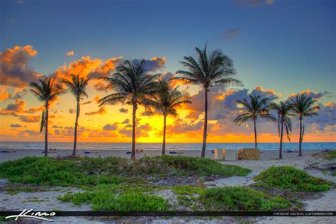 Sunrise Riviera Beach Florida Coconut Trees – HDR Photography by ...