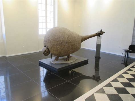 A fossil of a glyptodont in the Natural History Museum of Uruguay ...