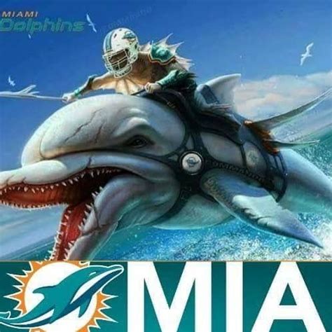 Pin by Manuelaguillorysd on miami dolphins diy | Miami dolphins funny ...