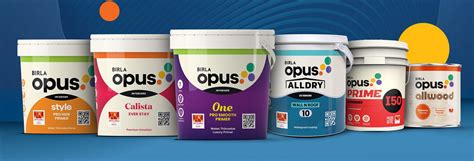 Will Birla Opus be the future of the house painting industry | ColourDrive