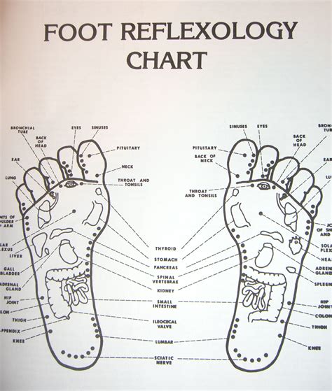 Printable Acupressure Points Chart