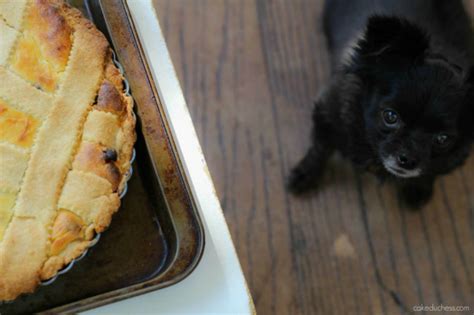 Sicilian Ricotta Pie Recipe (Easy Easter Dessert!) - Savoring Italy