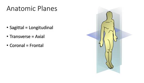 Ultrasound Basics: Anatomic planes