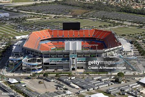 A Miami Dolphin Photos and Premium High Res Pictures - Getty Images