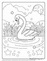 100  Swan coloring pages Free PDF To Print Woo Coloring sketch template
