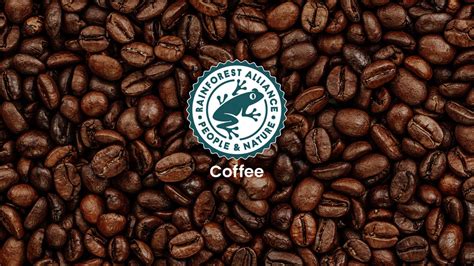 3 Reasons To Choose Rainforest Alliance Certified Coffee | Smile Coffee Werks