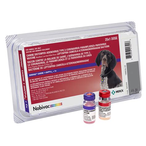 Canine Adenovirus Type 2 | Merck Animal Health USA