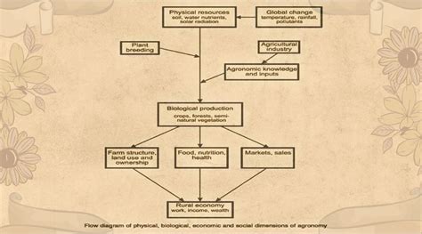 Agronomy: Definition, Meaning and it's Scope