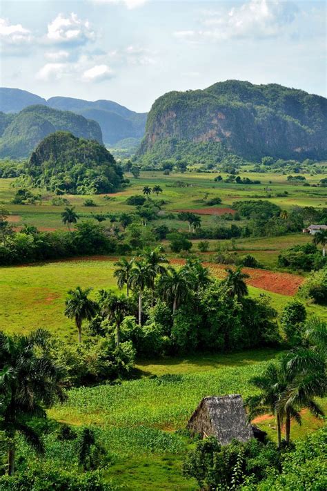 Valle de Viñales | Cuba beaches, Cuba vinales, Visit cuba