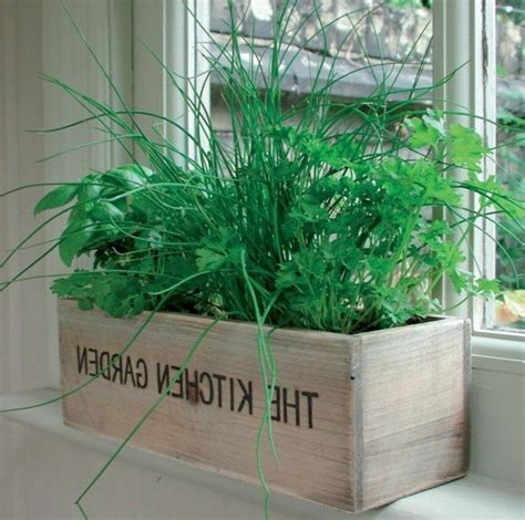 26 Luxury Indoor Herb Garden Kit Canadian Tire | Indoor herb garden, Herb garden kit, Easy garden