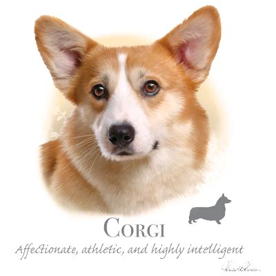 Corgi Heat Transfers | T-shirt Transfers | Iron-on Transfers