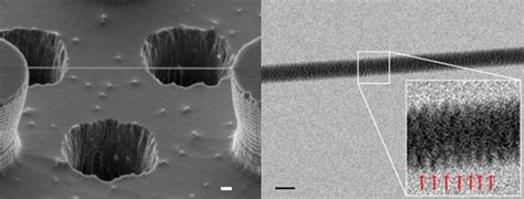 Obtained First DNA Image Through an Electron Microscope - RevoSeek.com ...