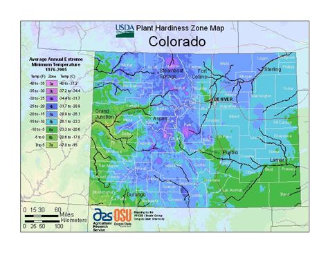 Everything You Need to Know About Hardiness Zones