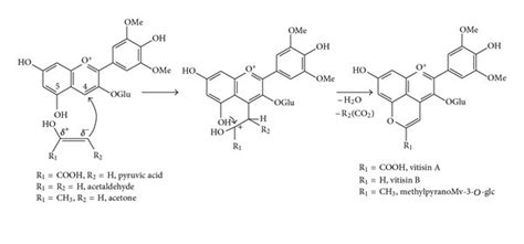 Structure of pelargonidin-3-glucoside. | Download Scientific Diagram