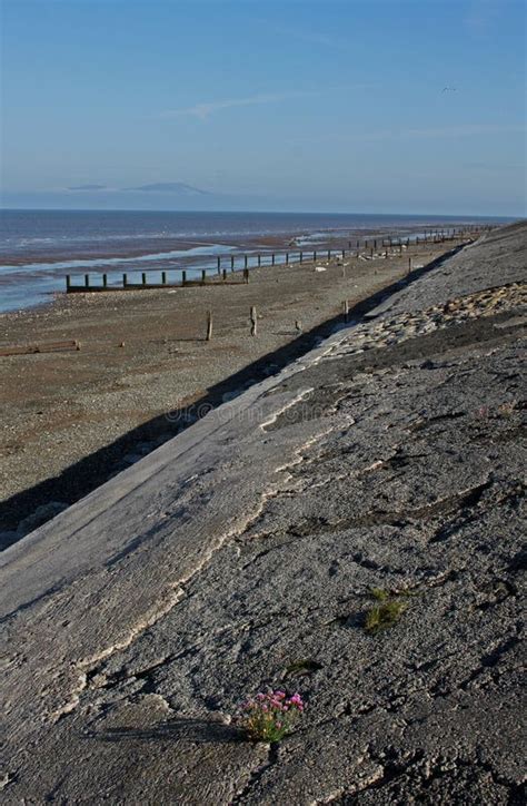 Beach Scene, Near Silloth, Cumbria, Lake District Stock Photo - Image of lake, fishing: 46037724