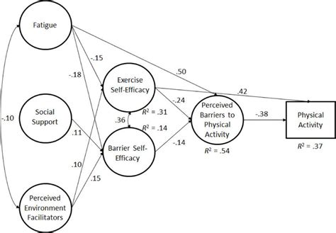 Structural Model of Social Cognitive Correlates of Meeting Physical ...