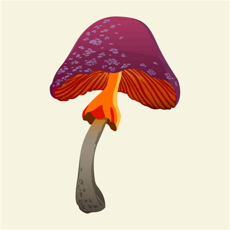 340+ Drawing Of The Hallucinogenic Mushrooms Stock Illustrations ...