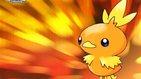 Torchic Wallpapers - Top Free Torchic Backgrounds - WallpaperAccess