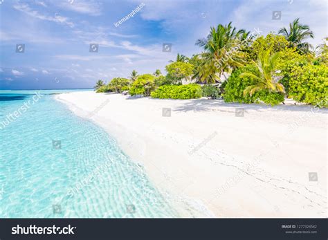 Amazing Beach Maldives Island Luxury Travel Stock Photo (Edit Now) 1277324542