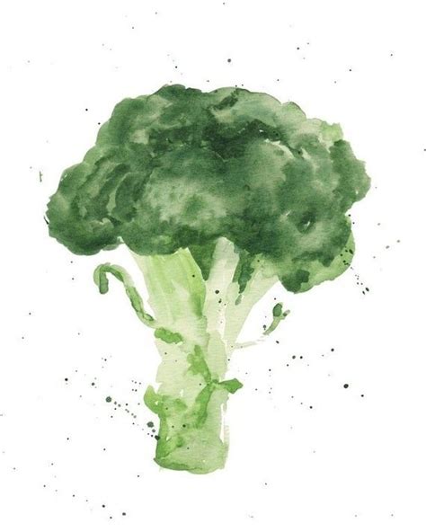 Broccoli 8x10 glossy archival print from by LaurieCoyleDesigns | Vegetable painting, Watercolor ...