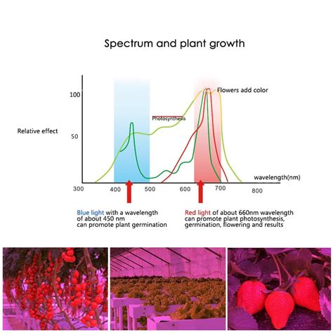 Full Spectrum LED Bulb for Plant Growth