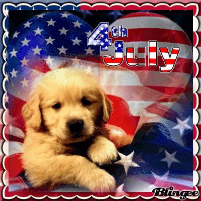 Cute Dog - Happy 4th Of July Gif Pictures, Photos, and Images for Facebook, Tumblr, Pinterest ...