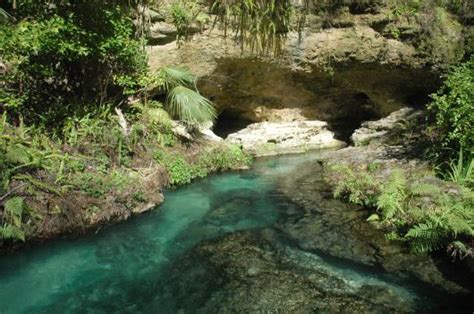 Kelly Park Rock Springs – Troop 941 Miami, Florida