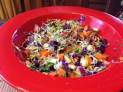 Raw sprout salad with home grown clover & fenugreek sprouts Macrobiotic, Sprouts Salad ...