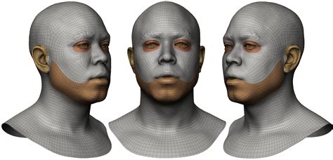 Male 3d Head Scan