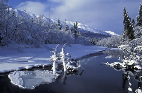 Eagle River In Chugach Sp Sc Alaska Early Winter PosterPrint - Walmart.com