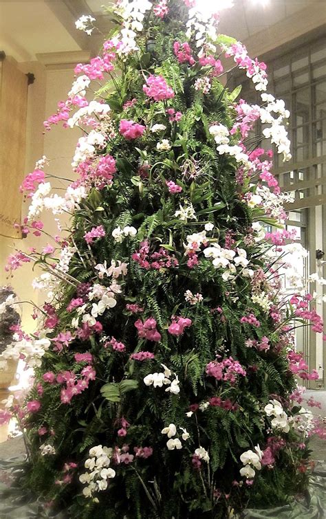 Phalaenopsis orchids Christmas tree. Via Orchid Kingdom. | Orchids, Christmas tree, Beautiful ...