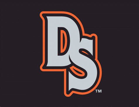 Delmarva Shorebirds Logo - Cap Logo - South Atlantic League (SAL) - Chris Creamer's Sports Logos ...