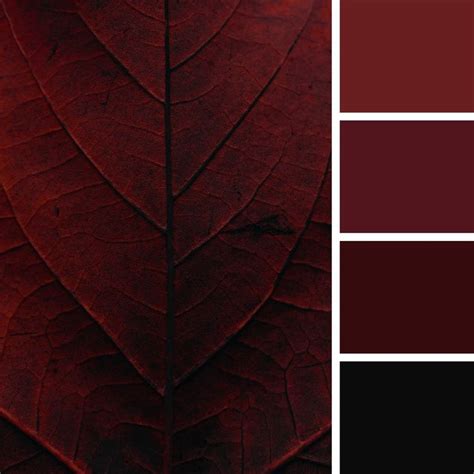 Dark Red Color Palette | Red colour palette, Color palette, Photo