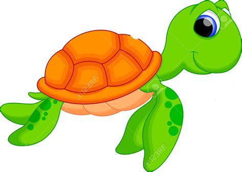 Sea Turtle Cartoon Png