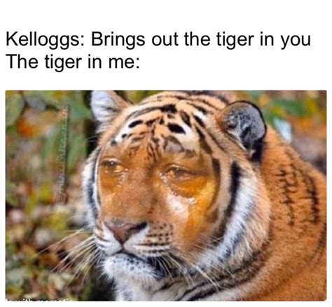 I have the eye of the tiger - 9GAG