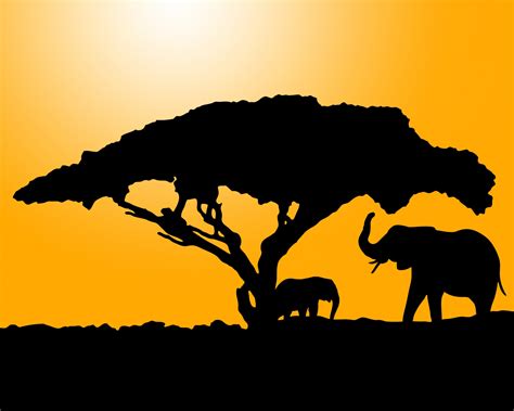 Elephant Silhouette At Sunset Free Stock Photo - Public Domain Pictures