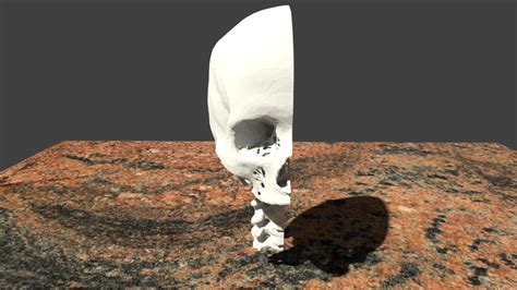 3D Free and Downloadable Printable Files of the Sinus Anatomy and Skull - Best embodi3d.com ...