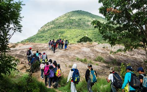 Nandi Hills Trekking | Trekking In Nandi Hills | BanBanjara