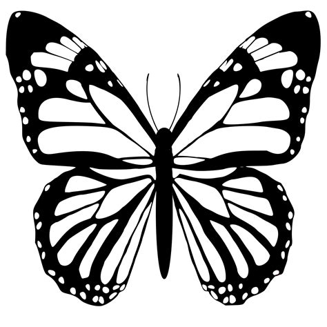 butterfly black and white 24134738 PNG