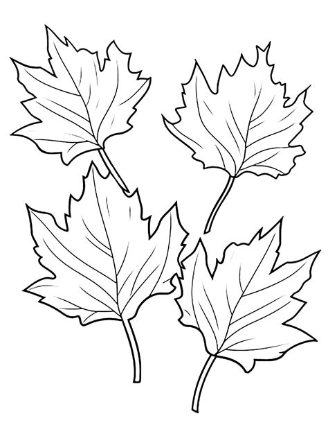 25 Fall Coloring Pages: Free Fun Sheets