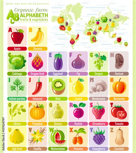 Alphabet food infographics. Fruit, vegetable, berry, spice icon set. Baby cartoon cute modern ...