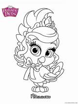 Whisker Haven Palace Pets Coloring Book Pages sketch template