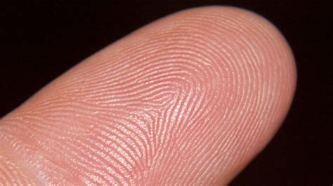 New iPhone May Have Fingerprint Authentication—Could It Be Hacked ...