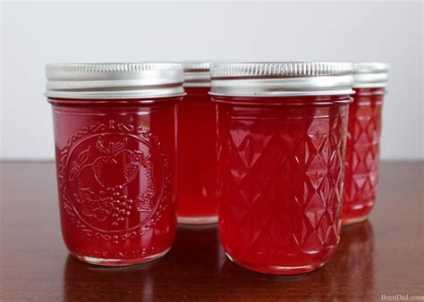 Easy Wild Plum Jelly Recipe