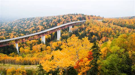 12 most beautiful autumn destinations in Japan | Autumn destinations, Picturesque, Scenic