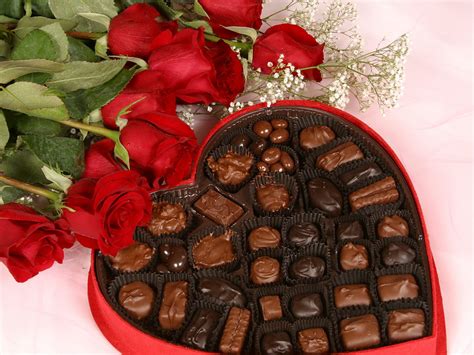 Senseless Ramblings of the Mindless: Why is Life Like a Box of Chocolates?