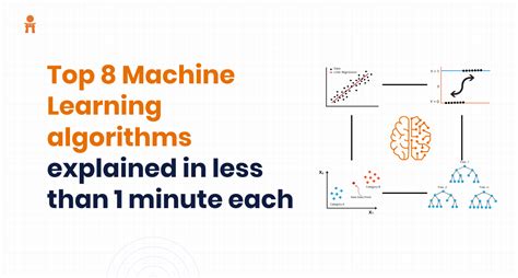 Top 8 Machine Learning algorithms explained