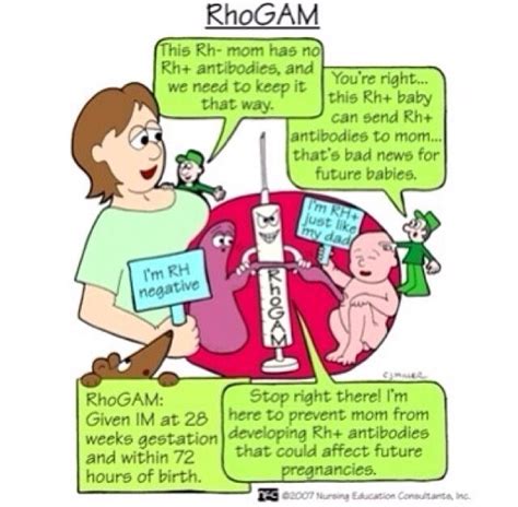 RhoGAM - Nursing school flash card | Nursing! | Pinterest | Nursing Schools, Nclex and Flashing