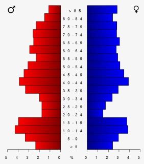 Population Pyramid Of Midland Tx, HD Png Download - kindpng