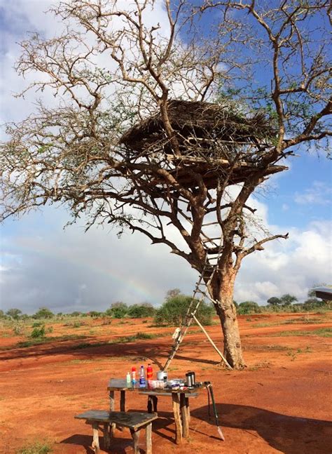 Gay Kenya Treehouse Safari: African First Date | Ed Salvato